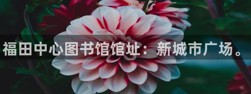 极悦平台网址AGHF8点C0M：福田中心图书馆馆址：