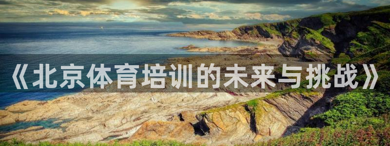 极悦娱乐代理人是谁呀：《北京体育培训的未来与挑战》