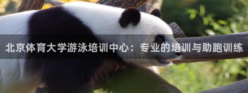 极悦官方网站app下载安装：北京体育大学游泳培训中心