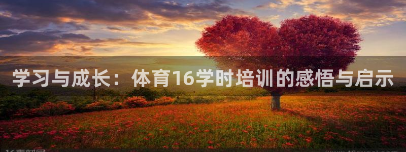 极悦平台注册失败如何解决方法：学习与成长：体育16学