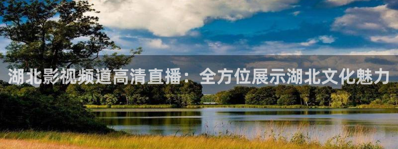 真不卡影院.：湖北影视频道高清直播：全方位展示湖北文化魅力