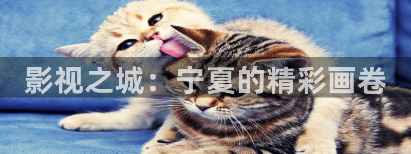 真不卡影院电影盒子免费观看：影视之城：宁夏的精彩画卷