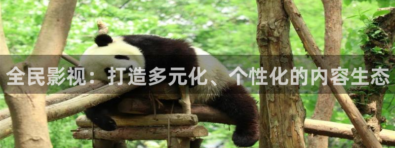 真不卡影院网站：全民影视：打造多元化、个性化的内容生态