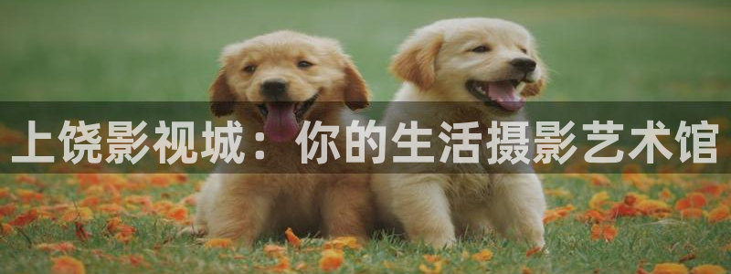 真不卡影院免费观看：上饶影视城：你的生活摄影艺术馆