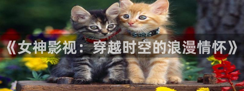 真不卡影院电影盒子免费观看：《女神影视：穿越时空的浪漫情怀》