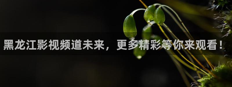 真不卡影院：黑龙江影视频道未来，更多精彩等你来观看！
