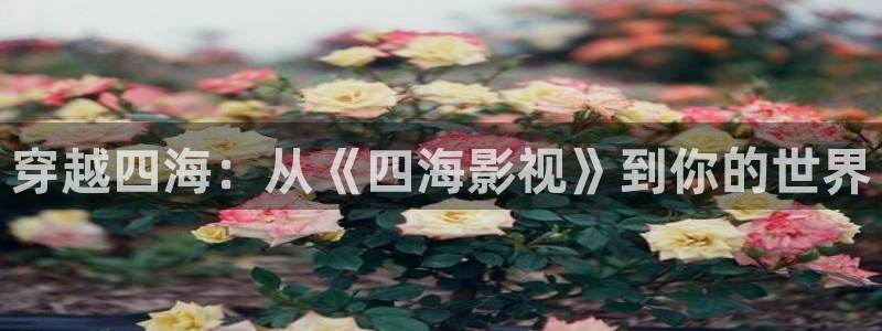 真不卡影视网：穿越四海：从《四海影视》到你的世界