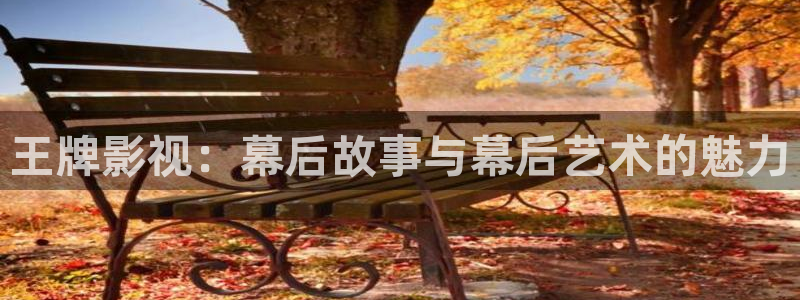 真不卡影视电视剧免费观看全集：王牌影视：幕后故事与幕后艺术的魅力