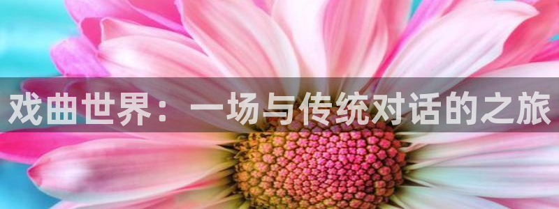 真不卡影视下载：戏曲世界：一场与传统对话的之旅