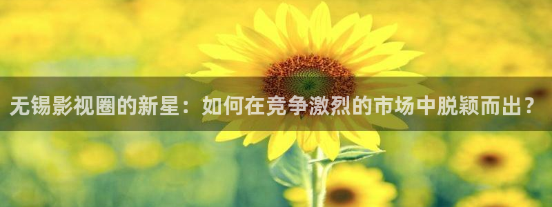 狂飙电视剧全集免费播放真不卡影院：无锡影视圈的新星：如何在竞争激烈的市场中脱颖而出？